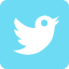 raceschoolireland.com Twitter
